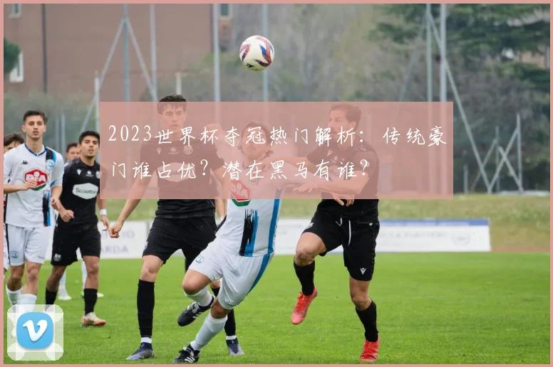 2023世界杯夺冠热门解析：传统豪门谁占优？潜在黑马有谁？